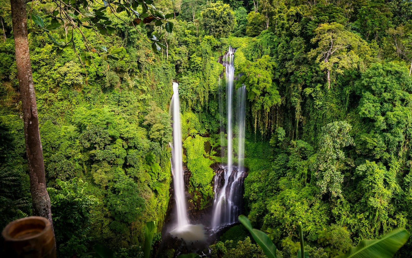 The twin falls of Sekumpul dropping through dense jungle in the Buleleng hills