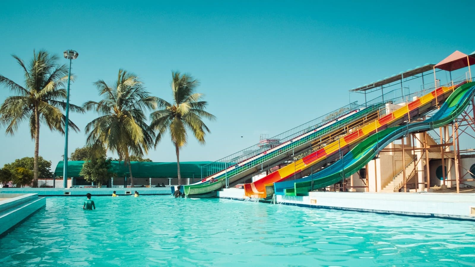 Water slides curving down toward a pool between tall palms
