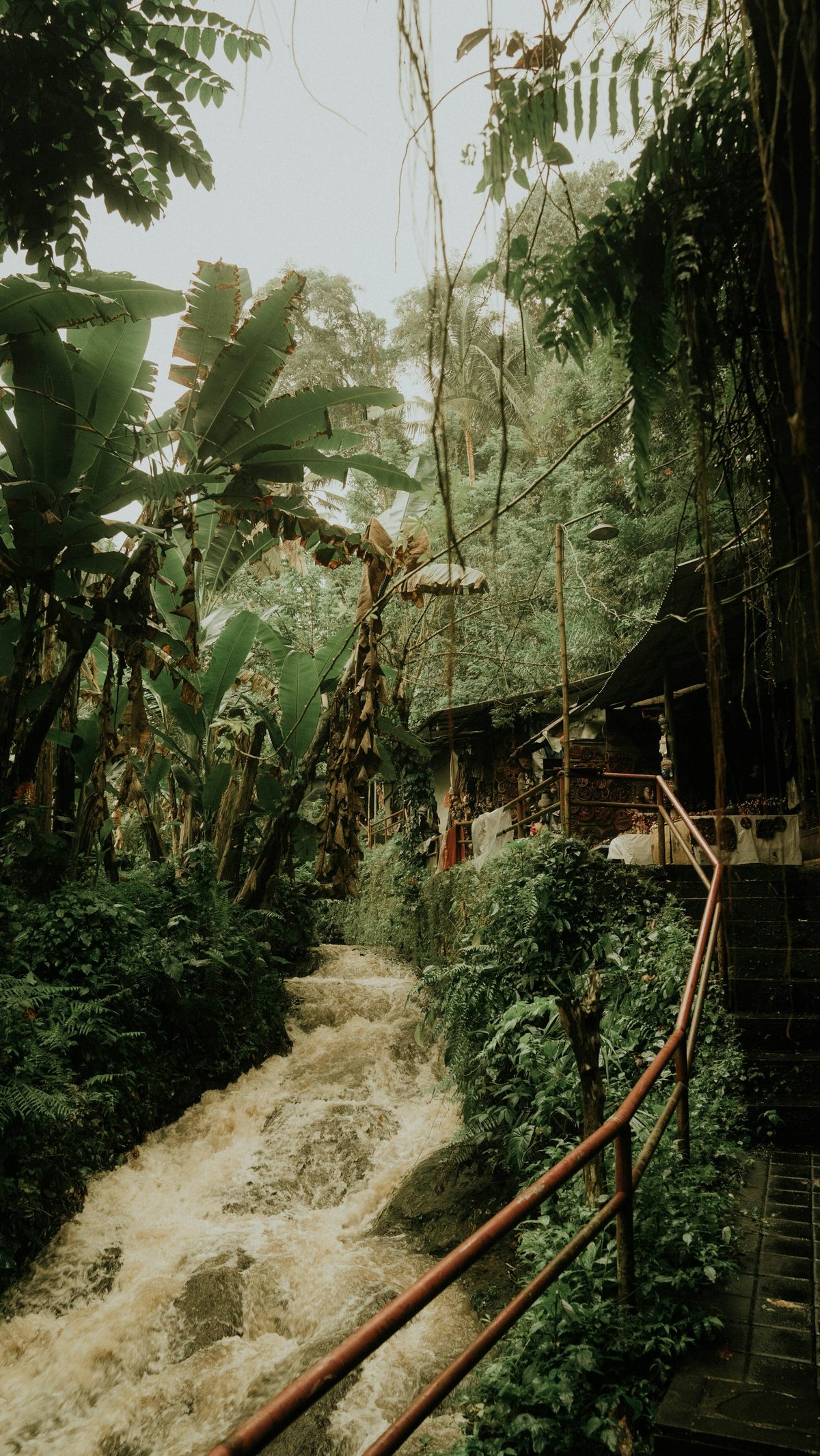 Steps and a handrail down a swollen tropical river, the descent that frames every trip. Photograph by Christian on Unsplash. Illustration only.